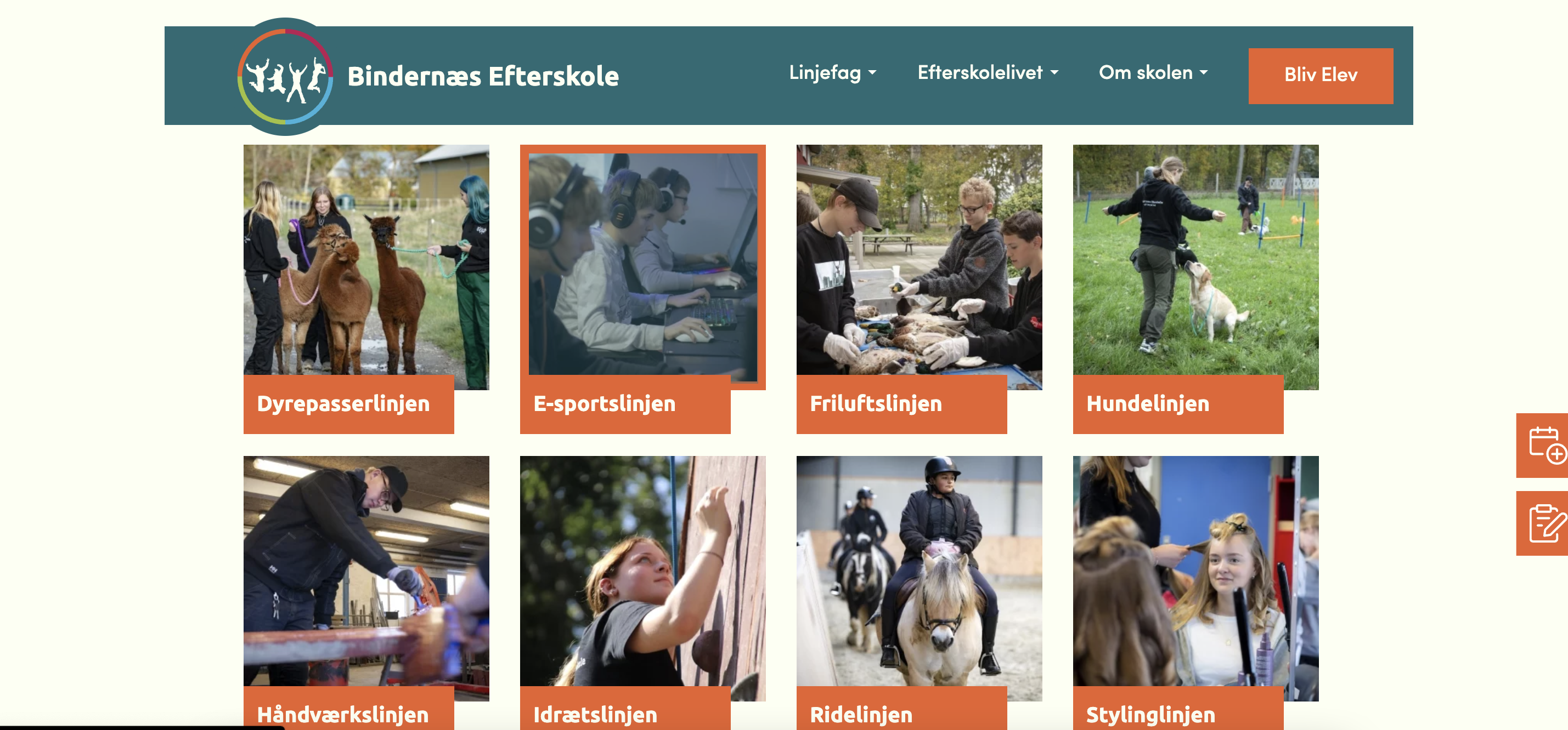 Bindernaes efterskole's wordpress website